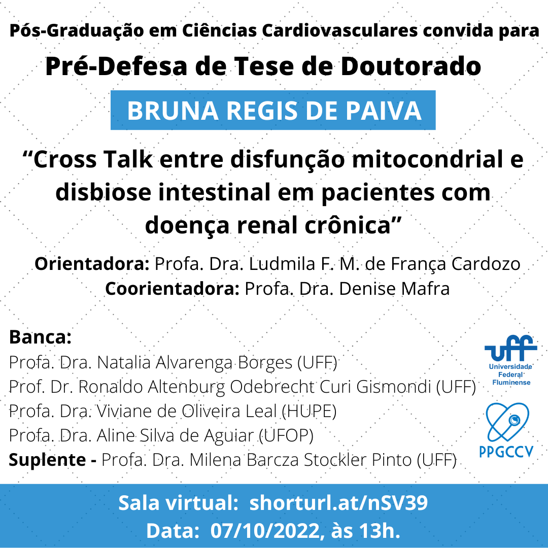 Cartaz pré-defesa doutorado Bruna Regis